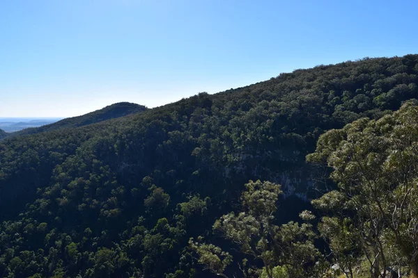 Landschaft im Bunya-Nationalpark — Stockfoto