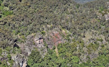 Manzara Bunya Milli Parkı'nda