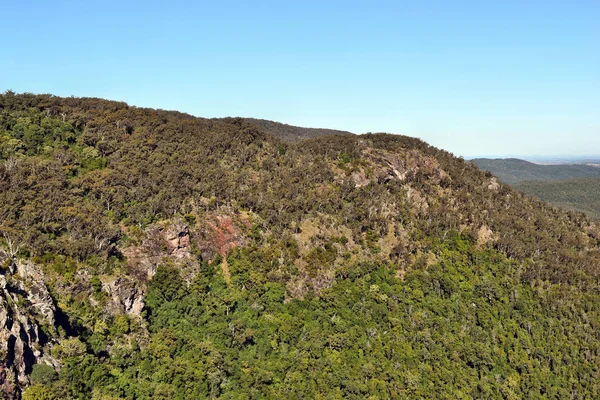 Landschap in het Nationaal Park Bunya — Stockfoto