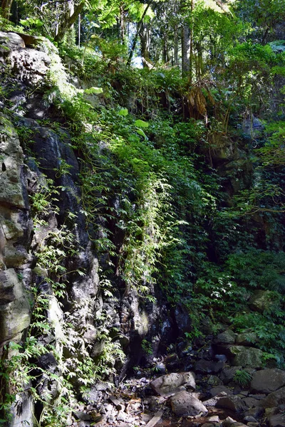 Waterfall in Australian National Park — Stock Photo, Image