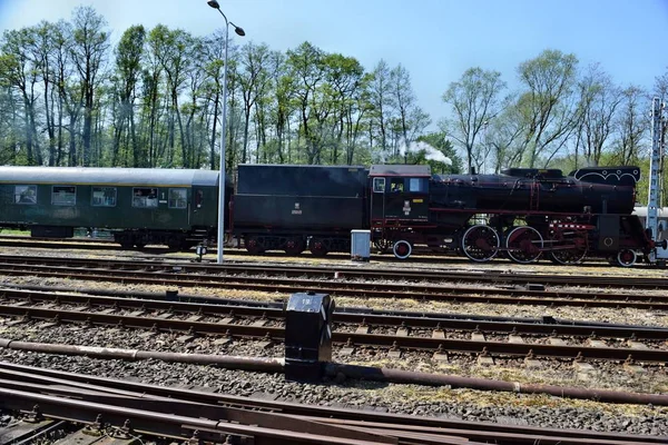 The annual parade about steam locomotives in Wolsztyn, Poland. — Stock Photo, Image