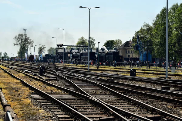 De jaarlijkse parade over stoomlocomotieven in Wolsztyn, Polen. — Stockfoto