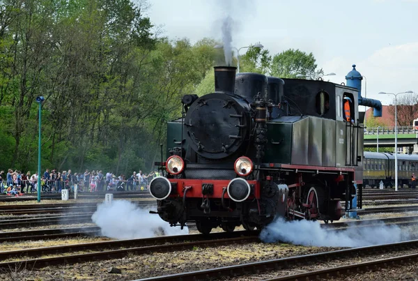 El desfile anual sobre locomotoras de vapor en Wolsztyn, Polonia . — Foto de Stock