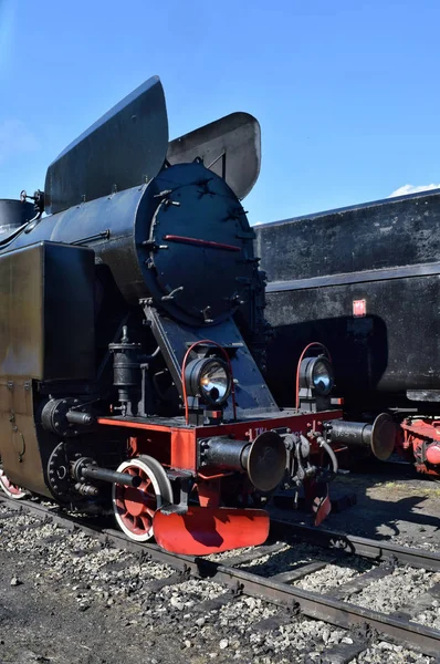 O desfile anual sobre locomotivas a vapor em Wolsztyn, Polônia . — Fotografia de Stock