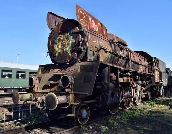 La parata annuale sulle locomotive a vapore a Wolsztyn, Polonia . — Foto Stock