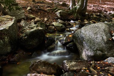 Sonbahar ormanlarındaki kayaların arasındaki nehir.