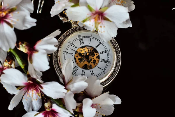 アーモンドの花とヴィンテージポケットウォッチ — ストック写真