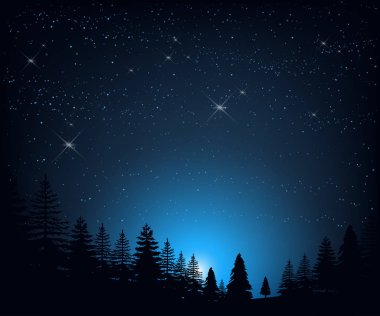 Yıldızlı gökyüzü arka plan siluetleri ağaçların üzerinde ile gece manzarası