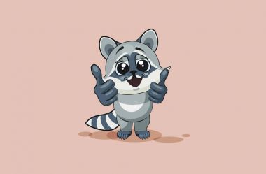 Emoji karakter karikatür Rakun yavrusu tasarım öğesi etiket ifade mutlu duygu onay bilgi grafik, video, animasyon, web siteleri raporları, çizgi için başparmak ile vektör illüstrasyon izole