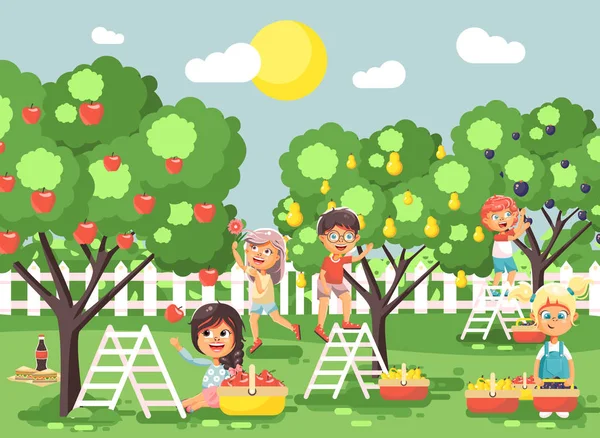 Rijpe vruchten herfst boomgaard tuin van plum, pear, appelbomen, gewas ter volledige mand landschap scène buiten vlakke stijl van de oogst van de vector illustratie cartoon tekens kinderen jongens en meisjes — Stockvector