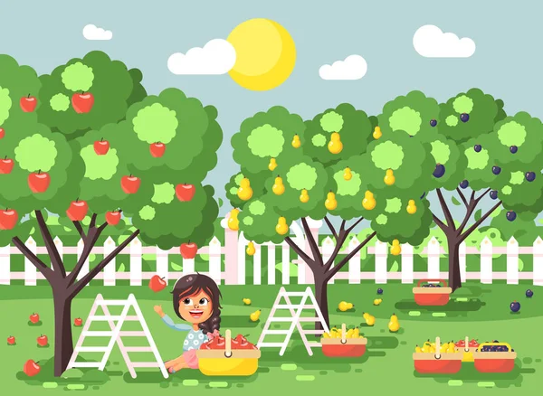 Vetor ilustração desenhos animados personagens criança morena menina colheita fruta madura outono pomar jardim de ameixa, pêra, macieira, colocar a colheita em plena cena cesta paisagem ao ar livre estilo plano —  Vetores de Stock