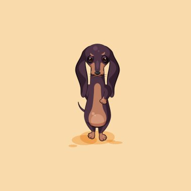 Vector stock illustration emoji of cartoon character dog talisman, phylactery hound, mascot pooch, bowwow dachshund sticker emoticon German badger-dog with angry grumpy emotion design clipart