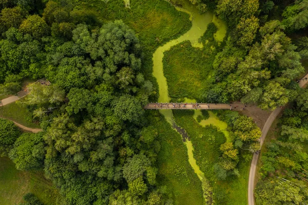 Vue Dessus Route Nature Avec Pont Sur Rivière Des Forêts — Photo