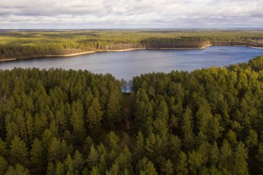 Ormandan göle giden patikanın drone görüntüsü..