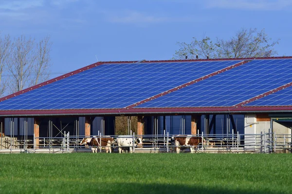 太陽光発電システムと近代的な牛舎 — ストック写真