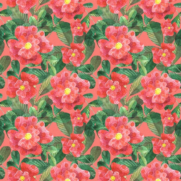 Watercolor stylized dog roses seamless pattern on background — Stock Photo, Image