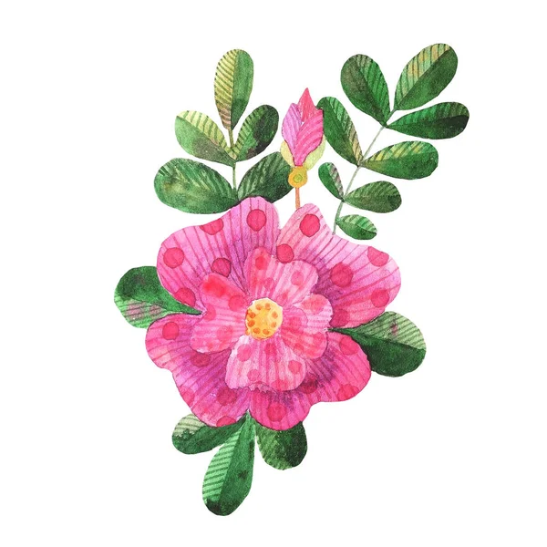 수채화 형식의 개 장미 삽화 꽃, 나뭇잎 — 스톡 사진