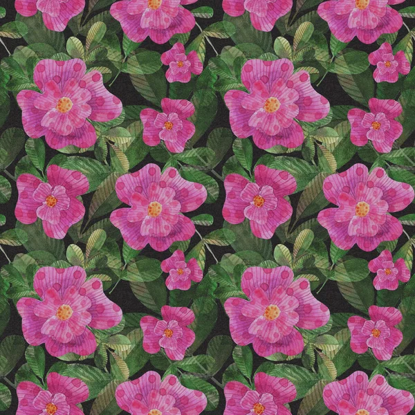Watercolor stylized dog roses seamless pattern on background — Stock Photo, Image
