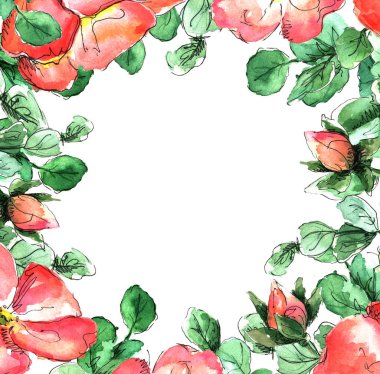 Kırmızı mercan yabani gül çiçekleri ve okaliptüs yaprakları ile kare suluboya çerçeve