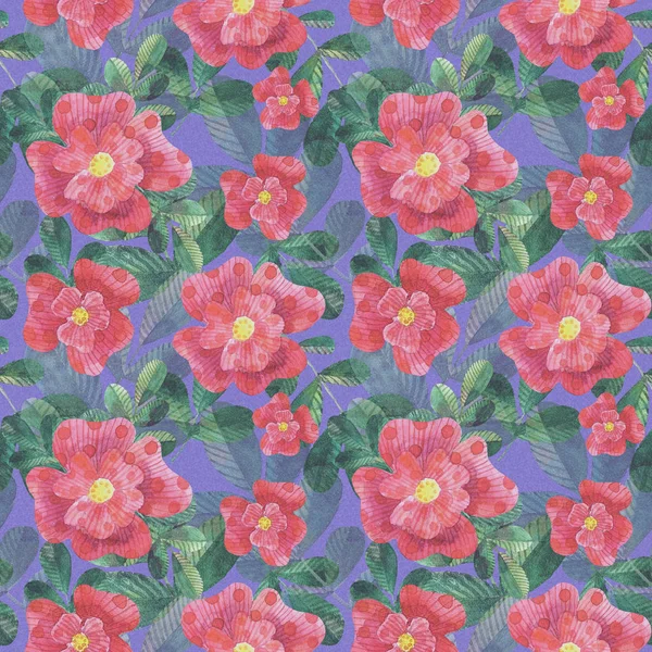 Watercolor stylized red dog roses seamless pattern on blue background — Stock Photo, Image