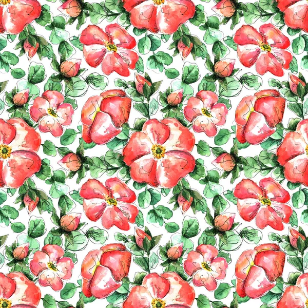 Seamless watercolor pattern with hand-drawn coral wild rose flowers for your print and textile design. scarlet flowers and buds, green rosehip leaves on a white background — Stock Photo, Image