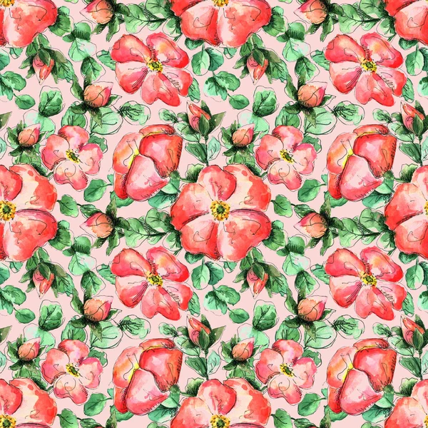 Seamless watercolor pattern with hand-drawn coral wild rose flowers for your print and textile design. scarlet flowers and buds, green rosehip leaves on a pink background — Stock Photo, Image