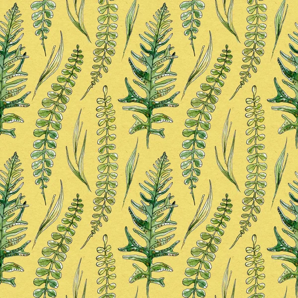 Безшовний візерунок намальованих елементів акварельного ескізу папороті та трави. Вічнозелені лісові рослини на жовтому тлі. Простий натрієвий орнамент для текстилю, обгорткового паперу, декору — стокове фото