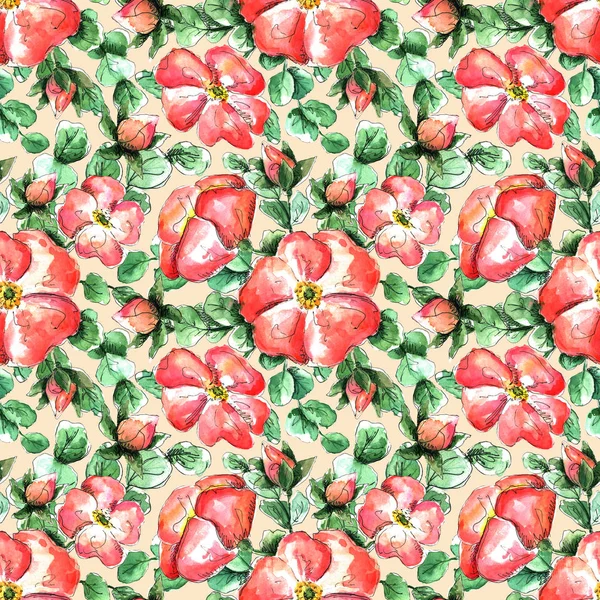 Бесшовный акварельный узор с нарисованными вручную коралловыми цветами дикой розы для печати и текстильного дизайна. алые цветы и почки, зеленые листья шиповника на белом фоне — стоковое фото