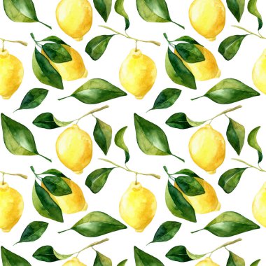 Kusursuz el yapımı suluboya limon deseni beyaz arka planda. Sarı turunçgillerin botanik çizimi. Gıda paketleme tasarımı için ideal