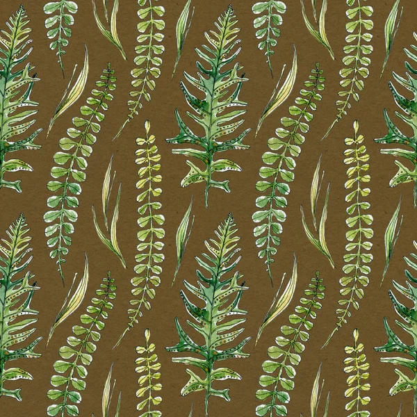 手工绘制的无缝图案水彩画元素蕨类和青草。棕色背景的常绿林地植物。纺织品,包装纸,装饰用的简单的本土装饰品 — 图库照片