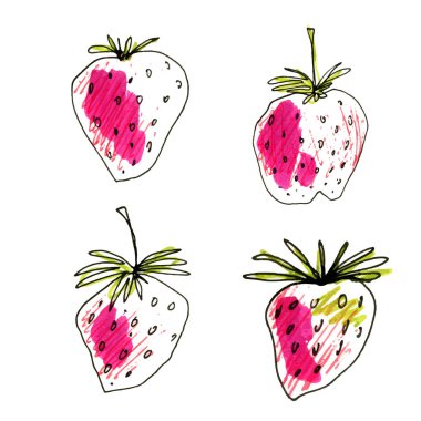 El yapımı çilek seti. Pembe çilek ve yeşil yapraklardan oluşan bir kolleksiyon ve beyaz üzerine siyah karalama vuruşu. Geçmişi. Tasarım, ambalaj, etiket, dekorasyon için illüstrasyon.