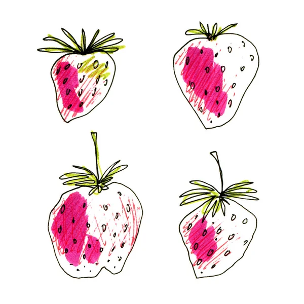 Hand drawn strawberry set. Collection of pink strawberries and green leaves with black doodle stroke isolated on white. background. illustration for design, packaging, label, decoration. - Stock-foto