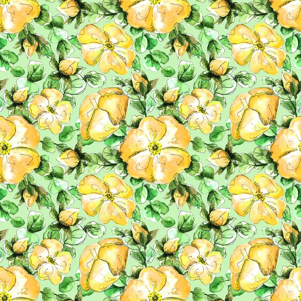 Seamless watercolor pattern with hand-drawn yellow wild rose flowers for your print and textile design. butter yellow flowers and buds, green rosehip leaves on a green background — Stock Photo, Image