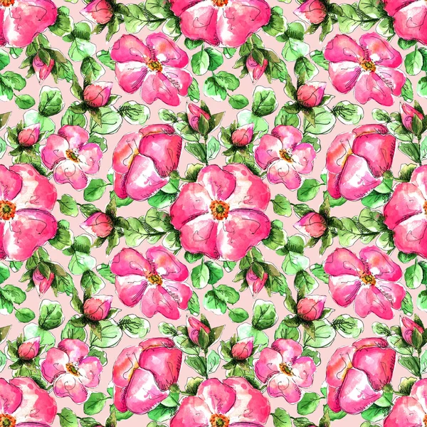 Motif aquarelle sans couture avec des fleurs roses sauvages dessinées à la main pour votre motif imprimé et textile. fleurs et bourgeons fuchsia, feuilles de églantier vert sur fond rose pastel — Photo