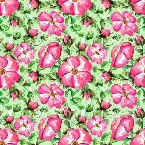 Patrón de acuarela sin costuras con flores rosadas silvestres dibujadas a mano para su impresión y diseño textil. rase flores y brotes, hojas de rosa mosqueta verde sobre un fondo verde menta — Foto de Stock