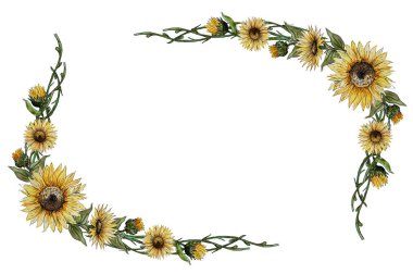 Suluboya elle boyanmış kare çelenk, çiçek tomurcukları, bir ayçiçeğinin yaprakları..