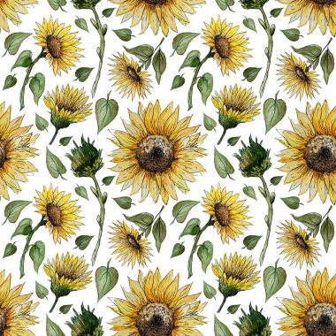 Hand drawn watercolor seamless pattern with sunflower flowers on a white background for your disign.