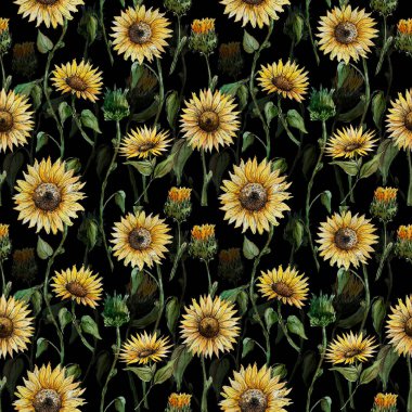 Hand drawn watercolor seamless pattern with sunflower flowers on a black background for your disign.