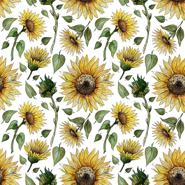 Hand drawn watercolor seamless pattern with sunflower flowers on a white background for your disign.