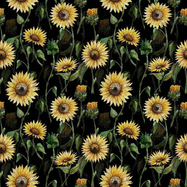 Hand drawn watercolor seamless pattern with sunflower flowers on a black background for your disign. — Stock Photo, Image