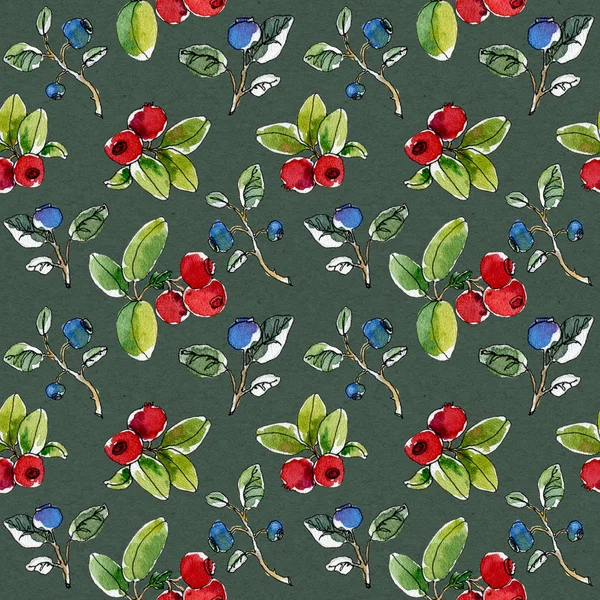 Renkli suluboya el, böğürtlensiz desen çiziyor. Olgun yaban mersini ve kızılcık. Lezzetli orman meyvesi çizimi. Grafik süslemesi gri arkaplan.