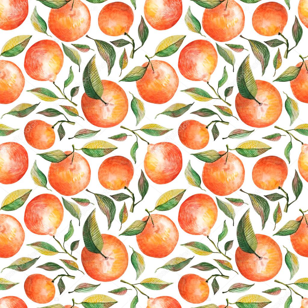 Watercolor seamless pattern with oranges tangerines citrus fruits green leaves isolated on white background. Fruit repeated background. Botanical illustration for fabric textile