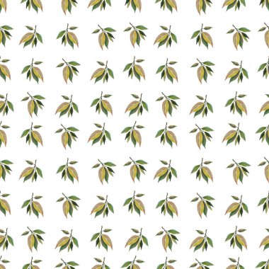 Yeşil yapraklar suluboya desenli. Beyaz arka planda izole edilmiş botanik çizimi. Summer Hand çizimi. Kozmetik, paket, tekstil, kartlar, dekorasyon için bitkiler