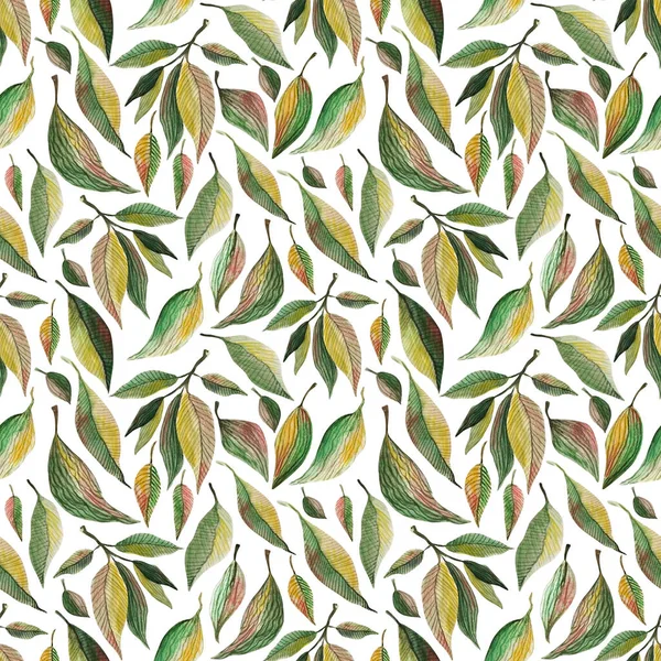 Feuilles vertes aquarelle motif sans couture. Illustration de peinture botanique isolée sur fond blanc. Summer Illustration dessinée à la main. Herbes pour cosmétiques, emballage, textile, cartes, décoration — Photo