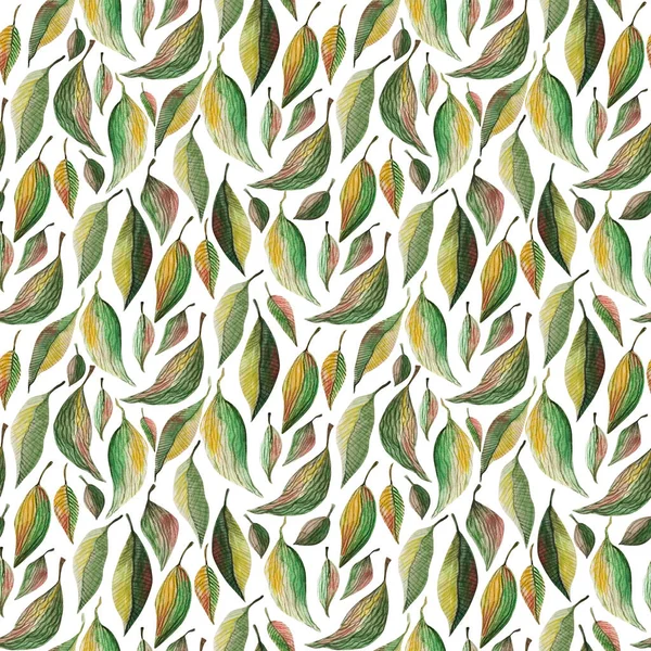 Green leaves watercolor seamless pattern. Botanical painting illustration isolated on white background. Summer Hand drawn illustration. Herbs for cosmetics, package, textile, cards, decoration