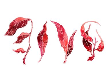 Botanik bölümü. Kırmızı yapraklar, bitkiler ve dallar. Çiçek tasarım elementleri. Düğün davetiyeleri, tebrik kartları, bloglar, posterler ve daha fazlası için mükemmel.