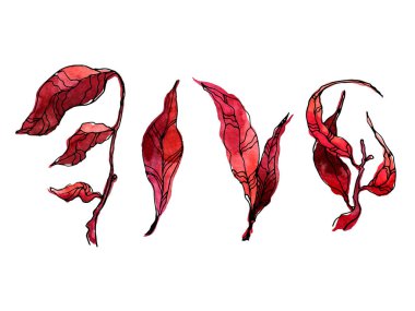 Botanik bölümü. Kırmızı yapraklar, bitkiler ve dallar. Çiçek tasarım elementleri. Düğün davetiyeleri, tebrik kartları, bloglar, posterler ve daha fazlası için mükemmel.