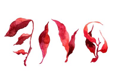 Botanik bölümü. Kırmızı yapraklar, bitkiler ve dallar. Çiçek tasarım elementleri. Düğün davetiyeleri, tebrik kartları, bloglar, posterler ve daha fazlası için mükemmel.