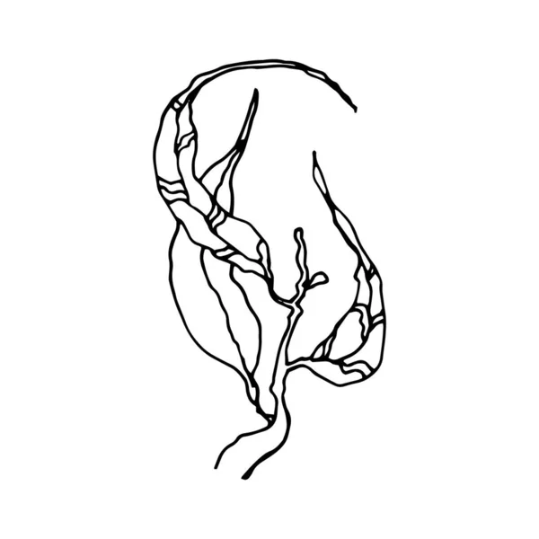 Schizzo disegnato a mano di ramoscello d'albero. Ramo con foglie. Illustrazione botanica disegnata a mano in stile schizzo. isolato su sfondo bianco — Vettoriale Stock