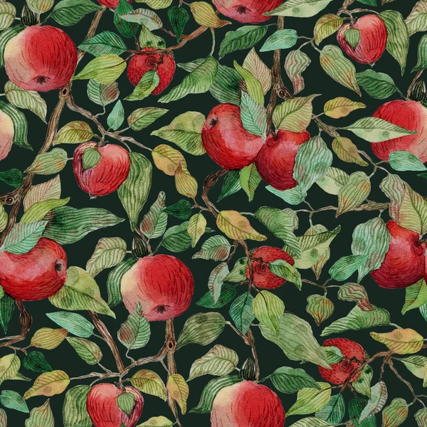Seamless pattern apple tree branch with red apples watercolor stylized illustration on dark green background Ideal for printing on fabric or paper. — Stock Photo, Image